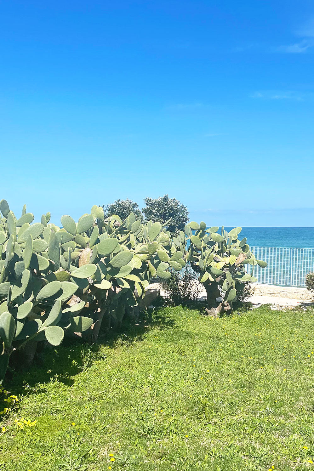 Villa Sole - Bisceglie (BT)